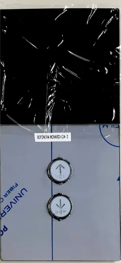 [BO-0007] BOTONERA MONARCH CH2